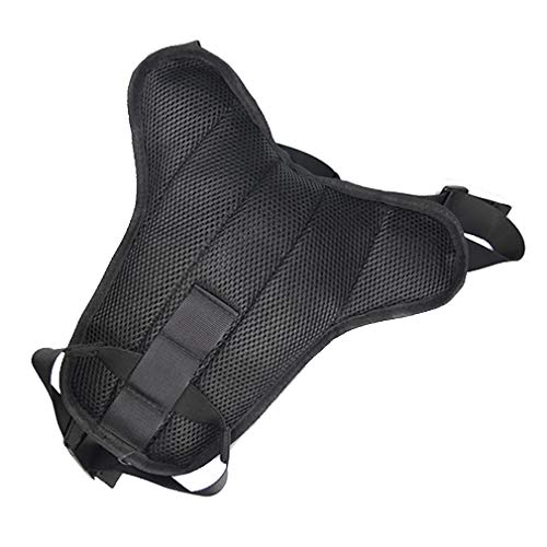 Sport Waist Bag